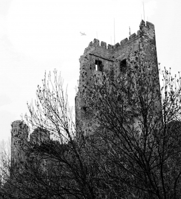 Königswinter
