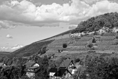Grafschaft