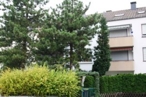 Mehr über den Artikel erfahren Immobiliengutachter Geseke