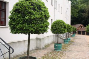 Mehr über den Artikel erfahren Immobiliengutachter Siegen